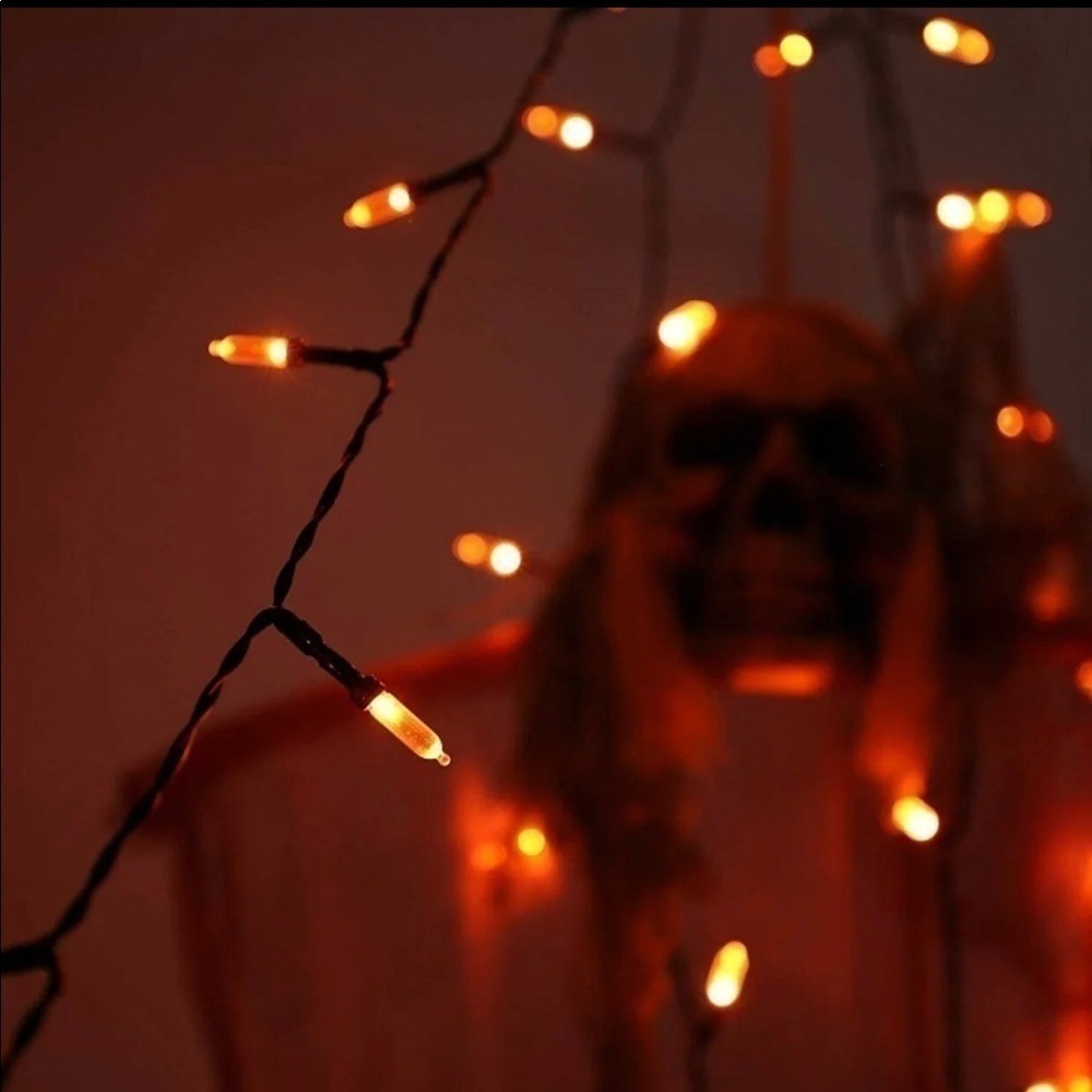 Orange halloween LED 30 foot string lights